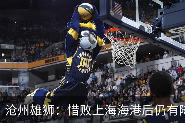 沧州雄狮：惜败上海海港后仍有降级风险